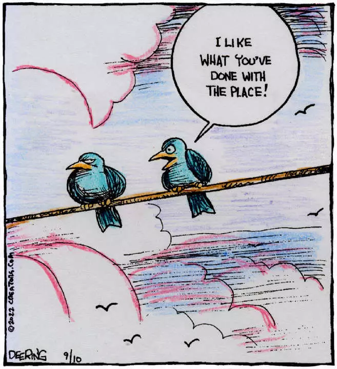 Strange Brew for Sep 10, 2022