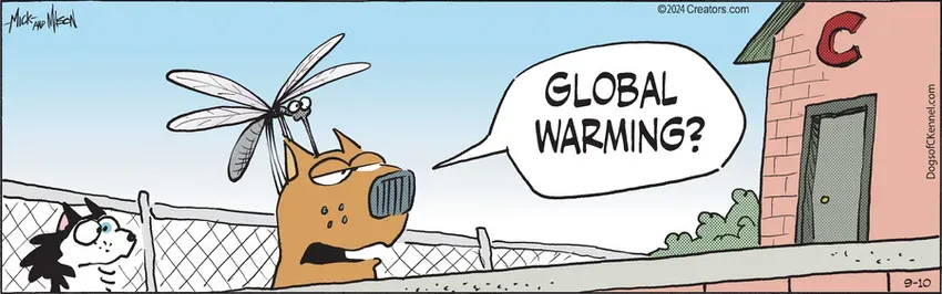 Dogs of C-Kennel for Sep 10, 2024