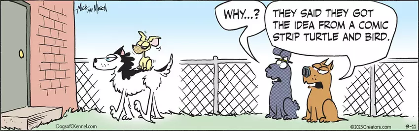 Dogs of C-Kennel for Sep 11, 2023