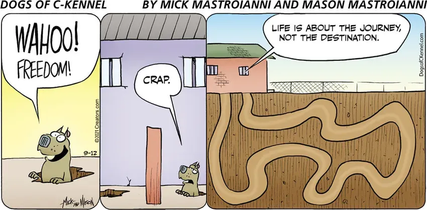 Dogs of C-Kennel for Sep 12, 2021