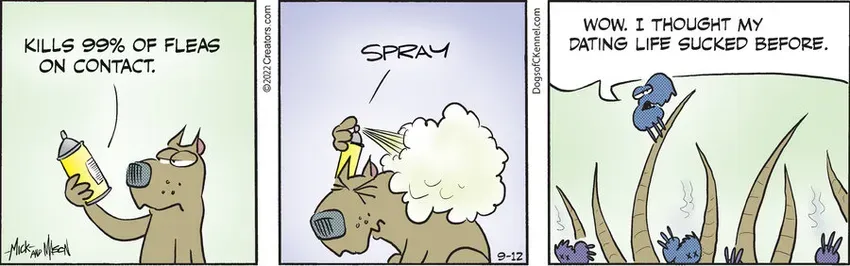 Dogs of C-Kennel for Sep 12, 2022