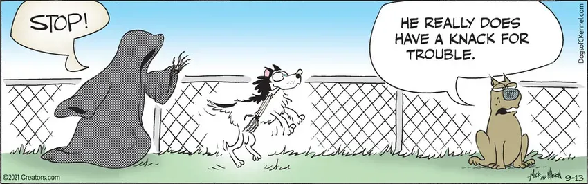 Dogs of C-Kennel for Sep 13, 2021