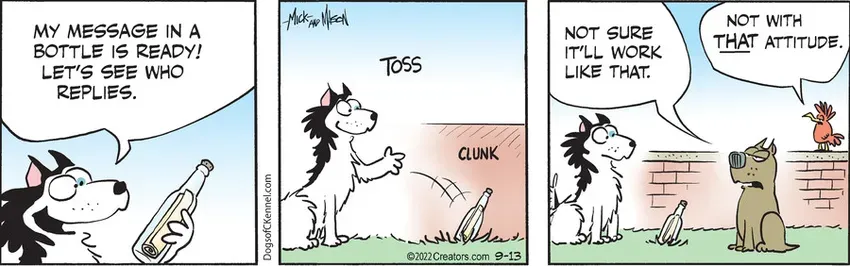 Dogs of C-Kennel for Sep 13, 2022