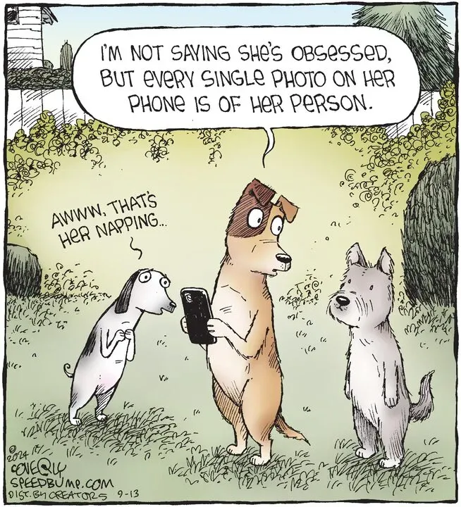 Speed Bump for Sep 13, 2024