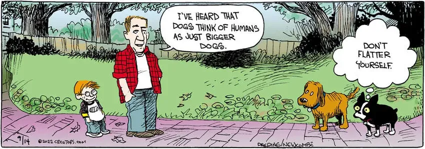 Zack Hill for Sep 14, 2022