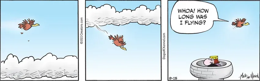 Dogs of C-Kennel for Sep 15, 2022