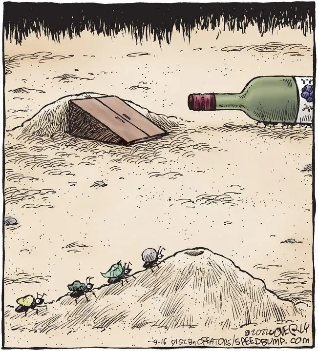 Speed Bump for Sep 16, 2022