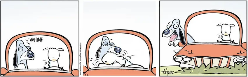 The Barn for Sep 16, 2023