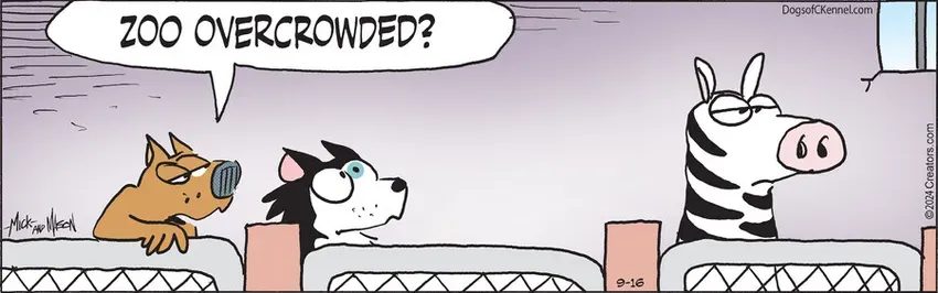 Dogs of C-Kennel for Sep 16, 2024