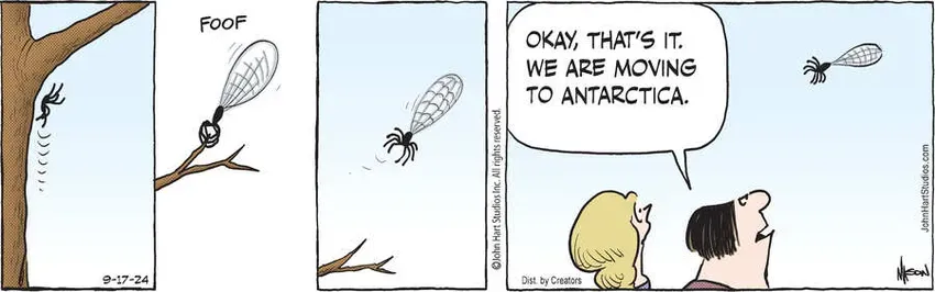 B.C. for Sep 17, 2024