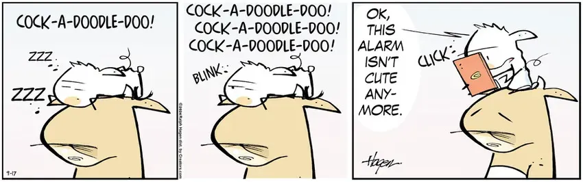 The Barn for Sep 17, 2024