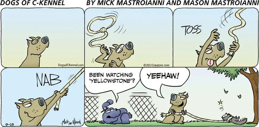 Dogs of C-Kennel for Sep 18, 2022