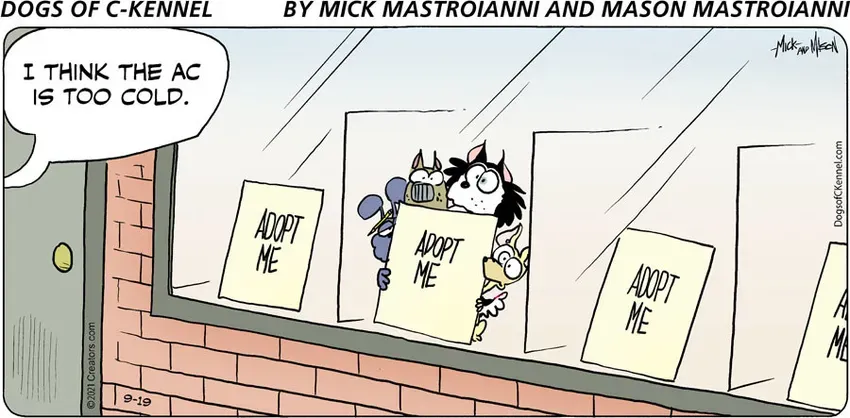 Dogs of C-Kennel for Sep 19, 2021