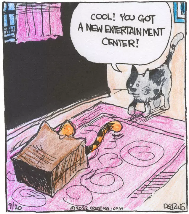 Strange Brew for Sep 20, 2022