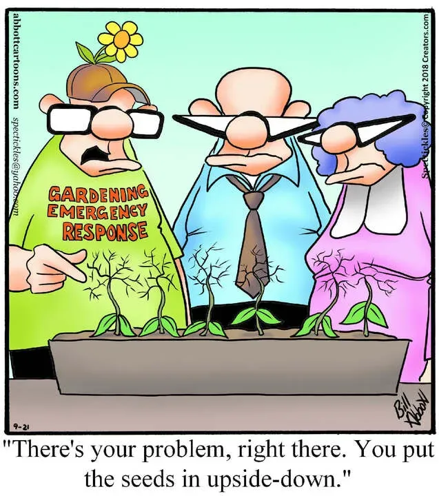 Spectickles for Sep 21, 2024