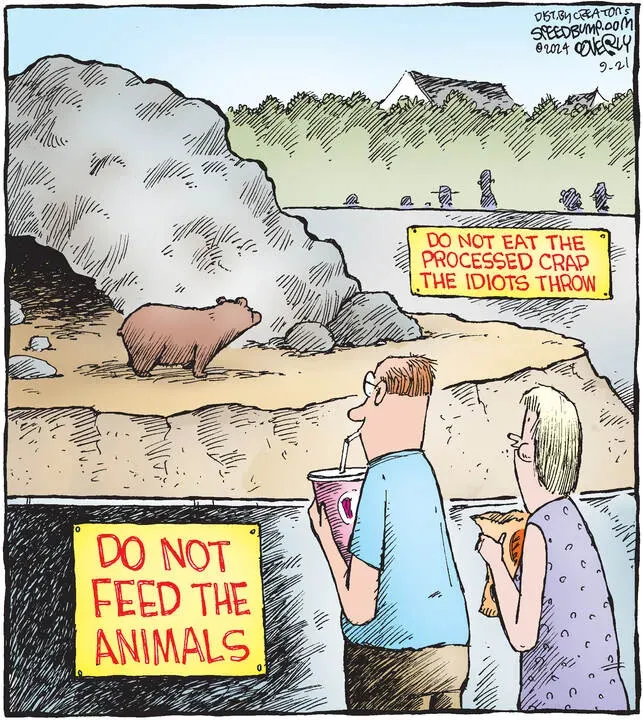 Speed Bump for Sep 21, 2024