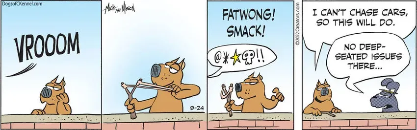 Dogs of C-Kennel for Sep 24, 2022