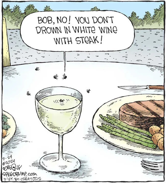 Speed Bump for Sep 24, 2024