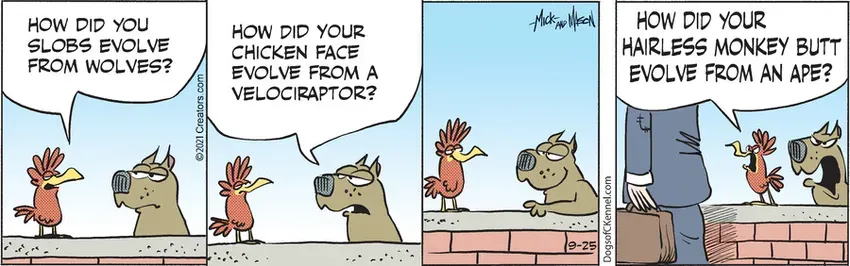 Dogs of C-Kennel for Sep 25, 2021