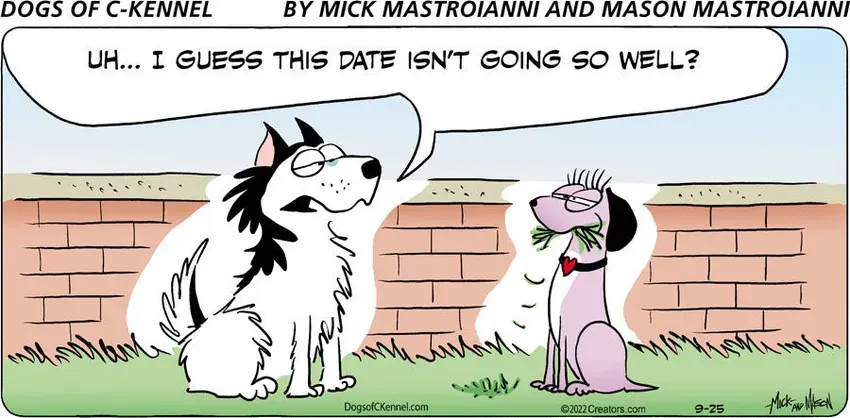 Dogs of C-Kennel for Sep 25, 2022