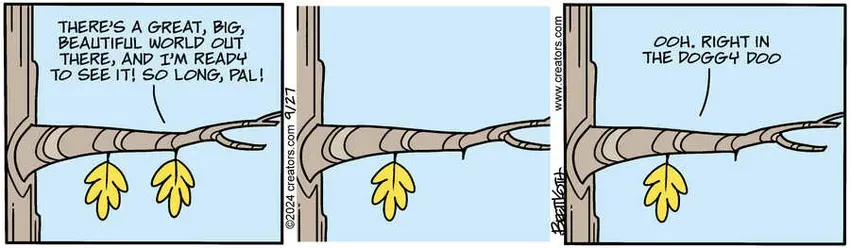 Diamond Lil for Sep 27, 2024