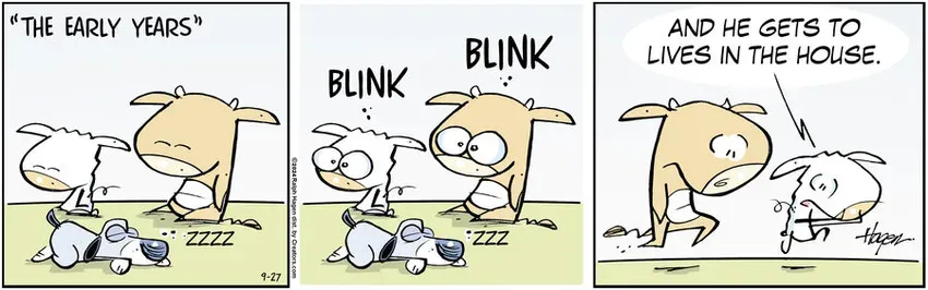 The Barn for Sep 27, 2024