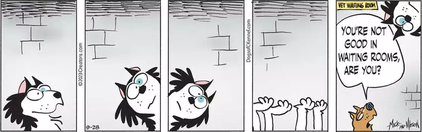 Dogs of C-Kennel for Sep 28, 2023