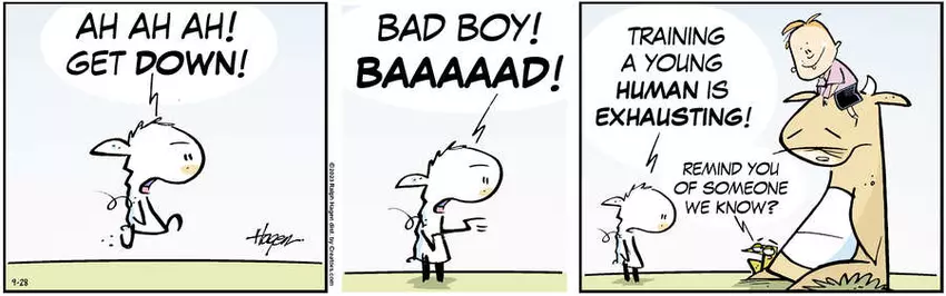 The Barn for Sep 28, 2023