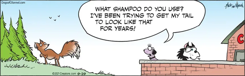 Dogs of C-Kennel for Sep 29, 2021