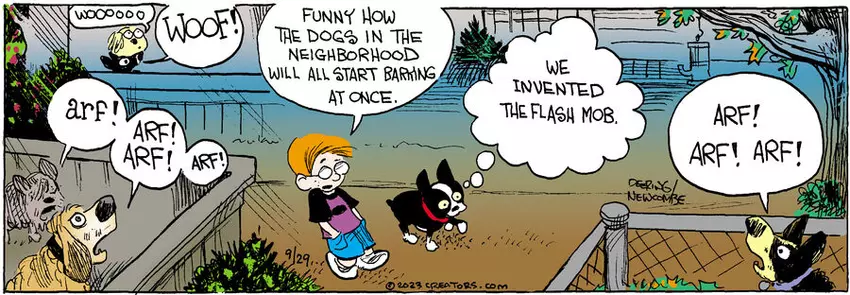 Zack Hill for Sep 29, 2023