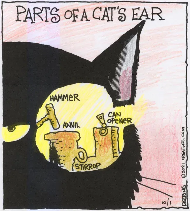 Strange Brew for Oct 01, 2021