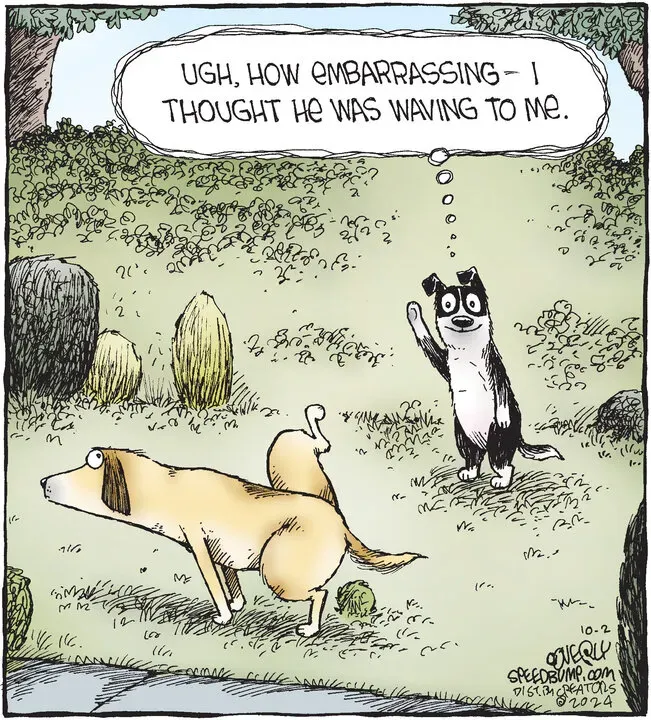 Speed Bump for Oct 02, 2024