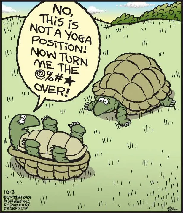 Free Range for Oct 03, 2024