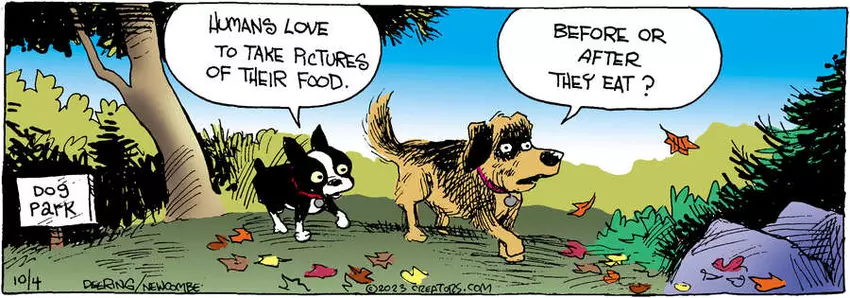 Zack Hill for Oct 04, 2023