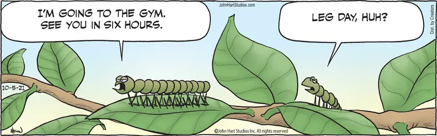 B.C. for Oct 05, 2021