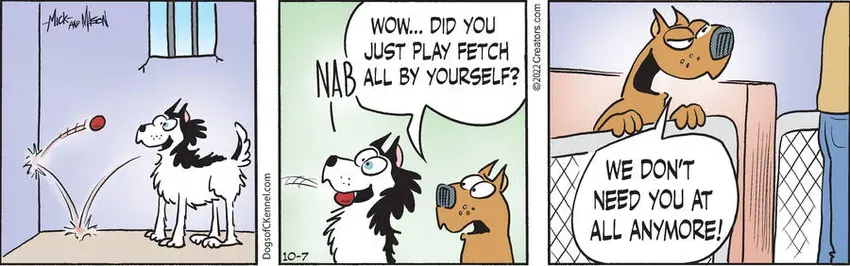 Dogs of C-Kennel for Oct 07, 2022