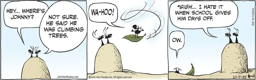 B.C. for Oct 07, 2022