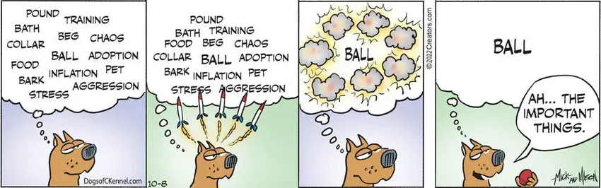 Dogs of C-Kennel for Oct 08, 2022