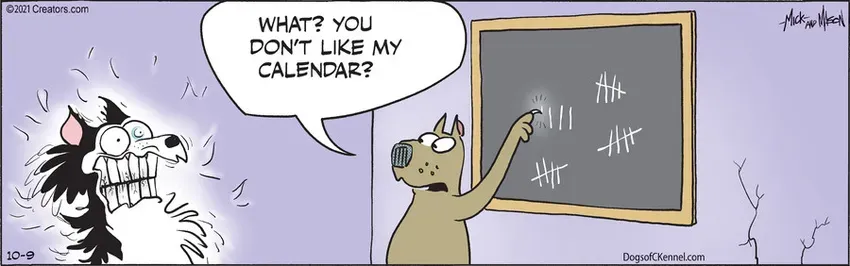 Dogs of C-Kennel for Oct 09, 2021