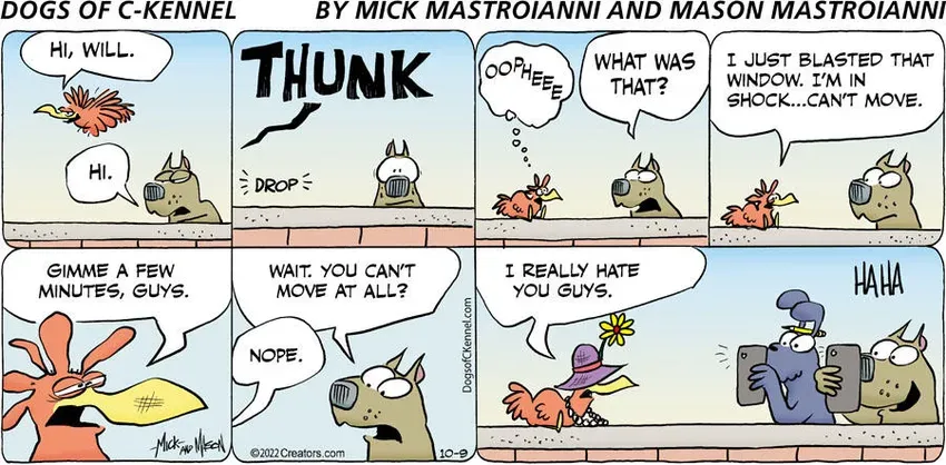 Dogs of C-Kennel for Oct 09, 2022