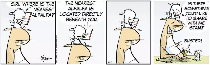 The Barn for Oct 09, 2023