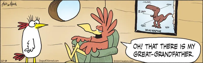 Dogs of C-Kennel for Oct 09, 2024