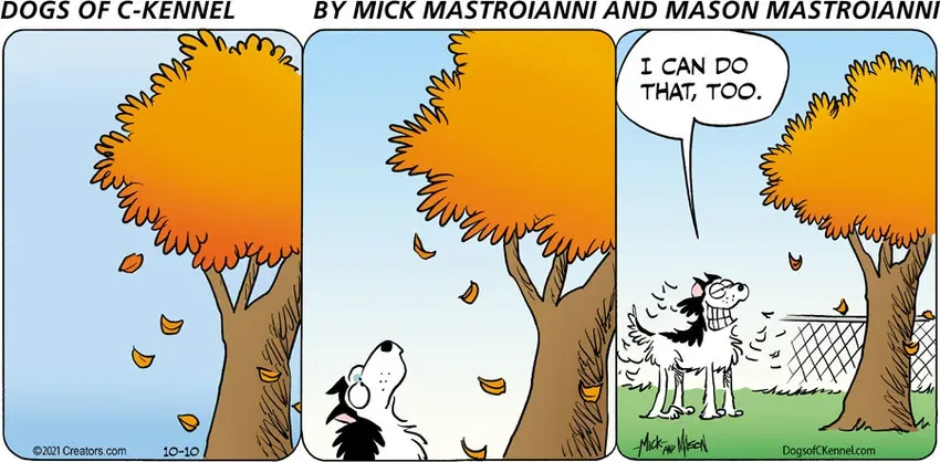 Dogs of C-Kennel for Oct 10, 2021