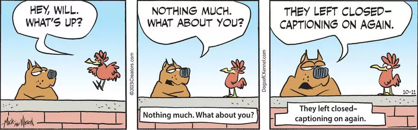 Dogs of C-Kennel for Oct 11, 2023