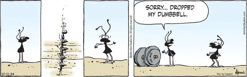 B.C. for Oct 11, 2024