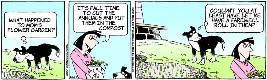 The Other Coast for Oct 12, 2021