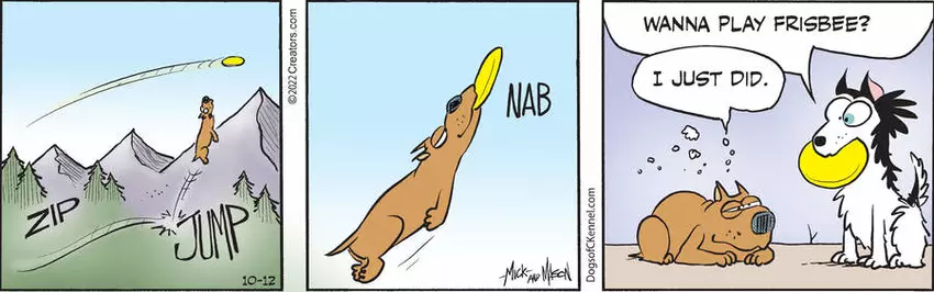 Dogs of C-Kennel for Oct 12, 2022