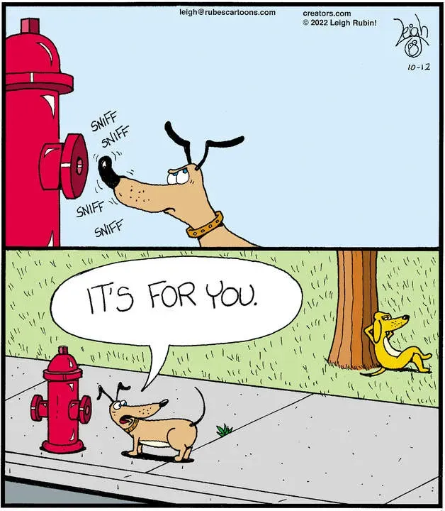Rubes® for Oct 12, 2022