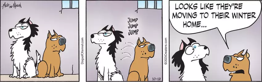 Dogs of C-Kennel for Oct 12, 2023