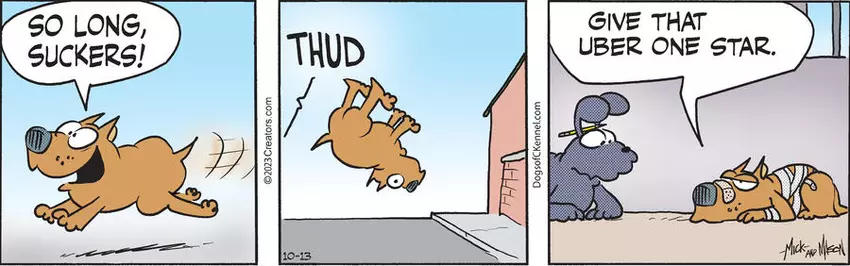 Dogs of C-Kennel for Oct 13, 2023